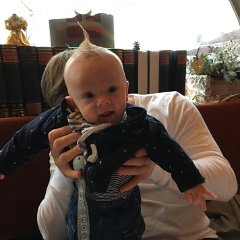IMG 060
